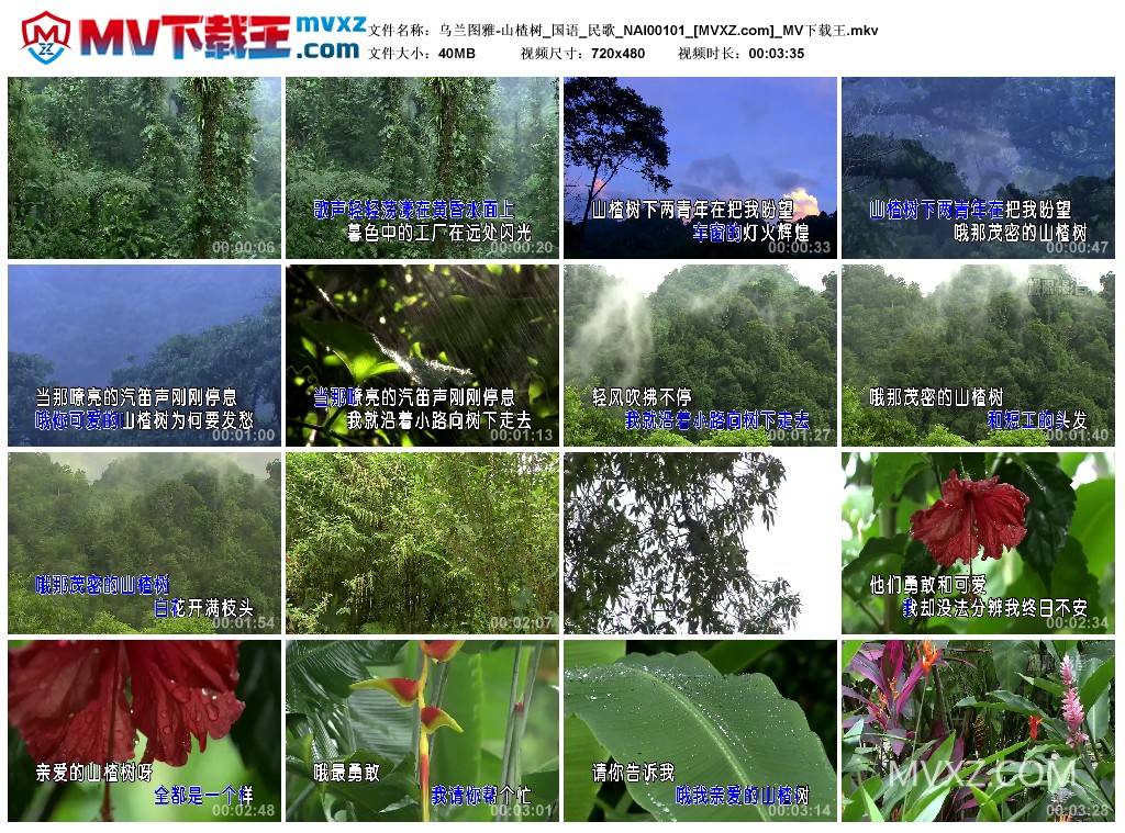 乌兰图雅-山楂树_国语_民歌_NAI00101